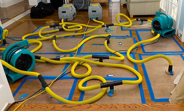 Professional Water Damage Restoration technician working in Felicity, OH